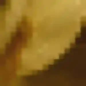 Profil de Graziella à Acoua (36 ans) - rencontre coquine anonyme