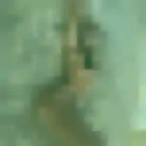 Photo perso de Roxane, 27 ans à Aire-sur-la-Lys - plan discret