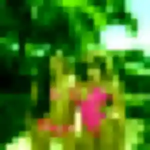 Profil de Inaya à Alès (40 ans) - rencontre coquine discret