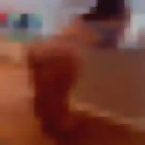 Contacte Sandrine, 35 ans à Aniche en privé