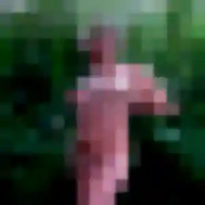 Photo sexy de Elsa, 24 ans à Annœullin - plan discret