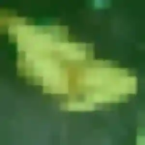 Urielle, 43 ans, disponible à Annœullin pour une rencontre coquine