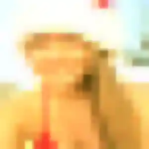 Profil de Ameline à Baud (30 ans) - rencontre coquine discret