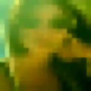 Photo de Delphine à Bédarrides (31 ans) - rencontre coquine discret
