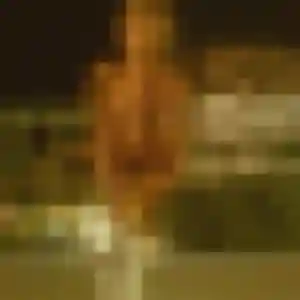 Fatima, 31 ans, dispo pour rencontre coquine à Berre-l'Étang