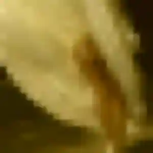 Photo de Suzanne à Biot (35 ans) - rencontre coquine gratuit