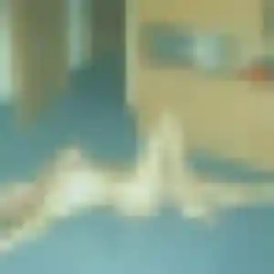 Colombine, fille de 33 ans cherche rencontre coquine à Biscarrosse