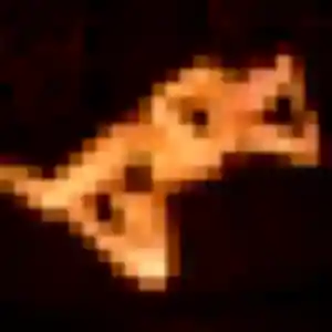rencontre coquine à Bois-Guillaume : profil de Ursula, 26 ans - sans engagement