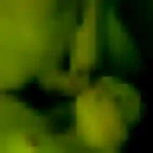 Photo de Apolline à Bonneuil-sur-Marne (28 ans) - rencontre coquine anonyme