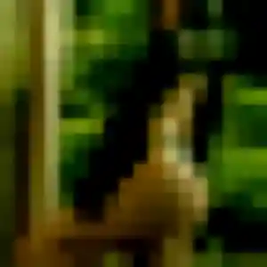 Profil de Whitney à Borgo (38 ans) - rencontre coquine anonyme