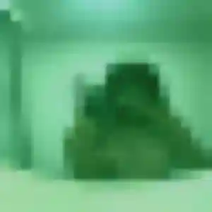 Photo perso de Regine, 37 ans à Bouaye - rencontre coquine