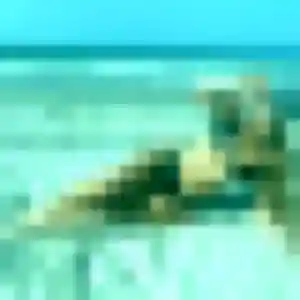 Profil de Gwendoline à Bourbourg (30 ans) - rencontre coquine gratuit