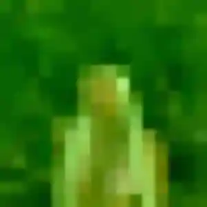 Photo perso de Isaure, 44 ans à Brumath - plan discret