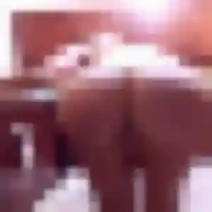Ilona, 44 ans, cherche un rencontre coquine à Calvi
