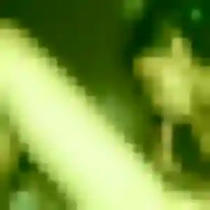 Sexy Viviane, 30 ans à Cambrai - voir sa photo
