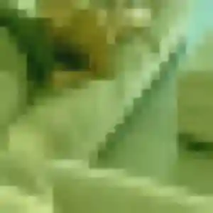 Berenice (33 ans) à Carpentras cherche une rencontre aujourd'hui