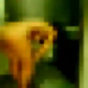 Photo de Delia à Cébazat (23 ans) - rencontre coquine gratuit