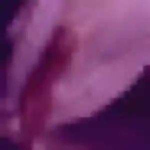 Profil de Huguette à Cesson (41 ans) - rencontre coquine discret
