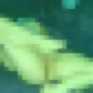 Profil de Renee à Châlons-en-Champagne (38 ans) - rencontre coquine gratuit