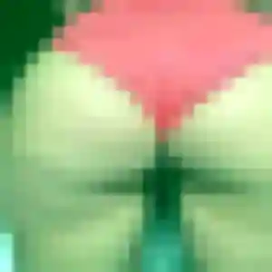 Capucine, 22 ans, cherche un rencontre coquine à Châteauroux