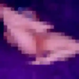 Photo privée de Gabrielle, 30 ans à Chauray - plan discret