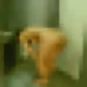 Photo perso de Alice, 34 ans à Choisy-le-Roi - plan discret