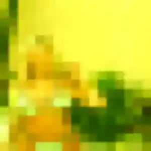Photo de Brunehilde à Ciboure (34 ans) - rencontre coquine anonyme
