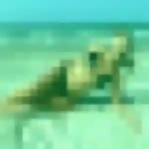 Profil de Mathilde à Corbeil-Essonnes (20 ans) - rencontre coquine gratuit