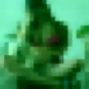 Yannick, 22 ans, dispo pour rencontre coquine à Cormeilles-en-Parisis