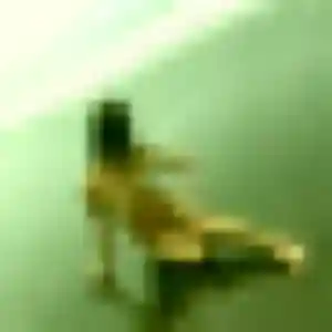 Ketty (25 ans) à Crégy-lès-Meaux propose un rencontre coquine ce soir