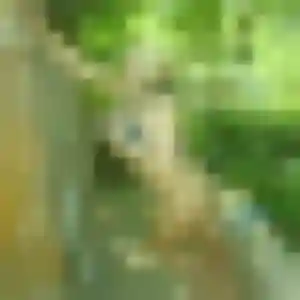 Profil de Solene à Dourdan (27 ans) - rencontre coquine anonyme