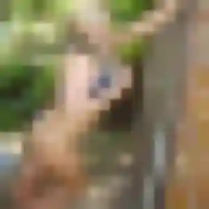 Photo sexy de Gilberte, 39 ans à Elne - rencontre coquine