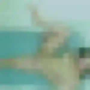 Photo de Agathe à Émerainville (37 ans) - rencontre coquine discret