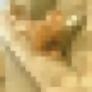 Profil de Veronique à Épinay-sur-Orge (24 ans) - rencontre coquine anonyme