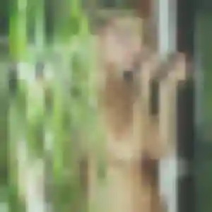 Audrey, 40 ans, disponible à Fécamp pour une rencontre coquine