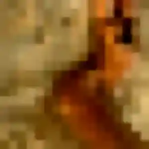 Profil de Raphaelle à Fontenilles (32 ans) - rencontre coquine anonyme