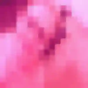 Photo sexy de Rebecca, 24 ans à Fresnes-sur-Escaut - rencontre sans lendemain