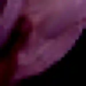 Sabrina, femme de 32 ans propose rencontre coquine à Gargenville