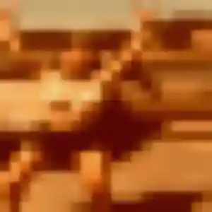 Tessa, 28 ans, disponible à Gif-sur-Yvette pour une rencontre coquine