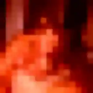 Zineb, 29 ans, dispo pour rencontre coquine à Gonfreville-l'Orcher