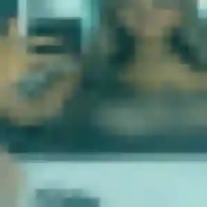 Alessandra, femme de 20 ans cherche rencontre coquine à Grenay
