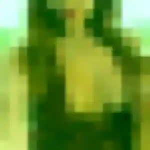 Profil de Hortense à Halluin (29 ans) - rencontre coquine sans inscription
