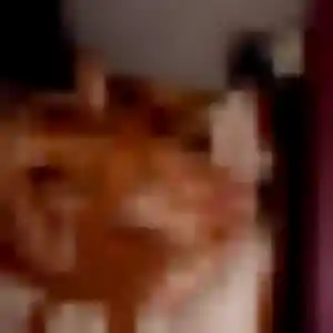 Leana de Jouars-Pontchartrain, 44 ans - rencontre coquine discret