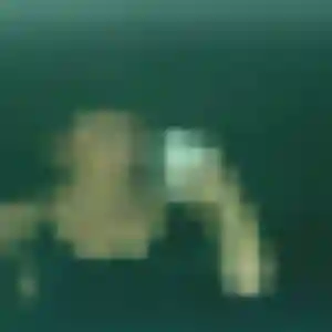 Photo de Madeleine à Juvisy-sur-Orge (25 ans) - rencontre coquine anonyme