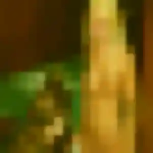 Photo perso de Lise, 35 ans à La Ferté Macé - rencontre coquine
