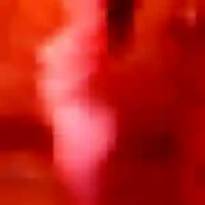 Photo perso de Siham, 43 ans à La Salvetat-Saint-Gilles - rencontre coquine