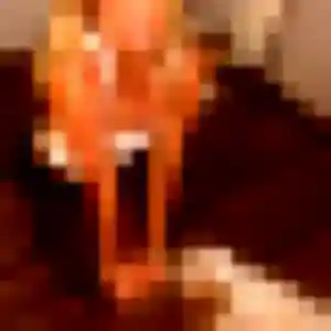 rencontre coquine à Lacanau : photo de Louisa, 23 ans - accès libre