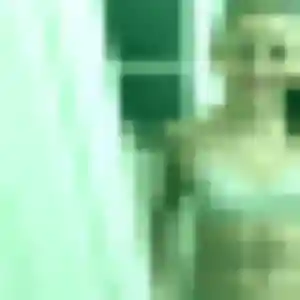 Natasha (44 ans) à Lambersart cherche un rencontre coquine aujourd'hui