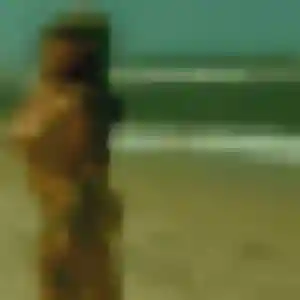 Ameline, fille de 35 ans cherche rencontre coquine à Lannemezan