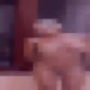 Djamila (25 ans) à Laudun-l'Ardoise cherche un rencontre coquine maintenant